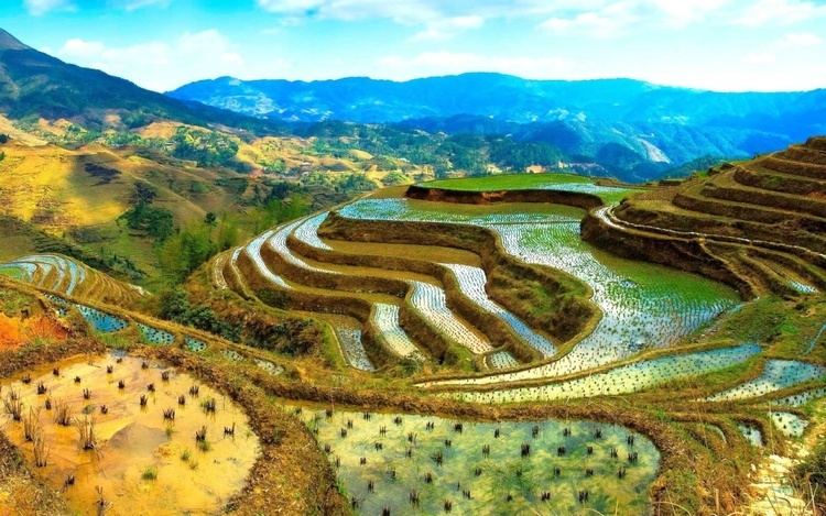 Rice Terraces of the Philippine Cordilleras Rice Terraces of the Philippine Cordilleras Explore Wonders