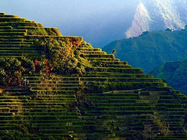 Rice Terraces of the Philippine Cordilleras httpswwwwmforgsitesdefaultfilesstylespro