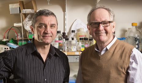 Richard A. Flavell Two Yale researchers who study the immune system share Vilcek Prize