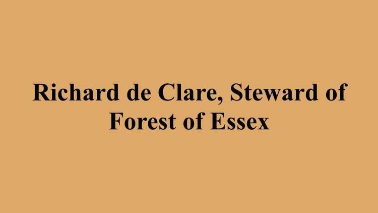 Richard de Clare, Steward of Forest of Essex Richard de Clare Steward of Forest of Essex YouTube