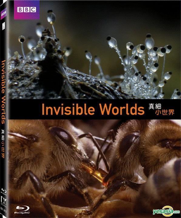 Richard Hammond's Invisible Worlds YESASIA Richard Hammond39s Invisible Worlds Bluray Hong Kong