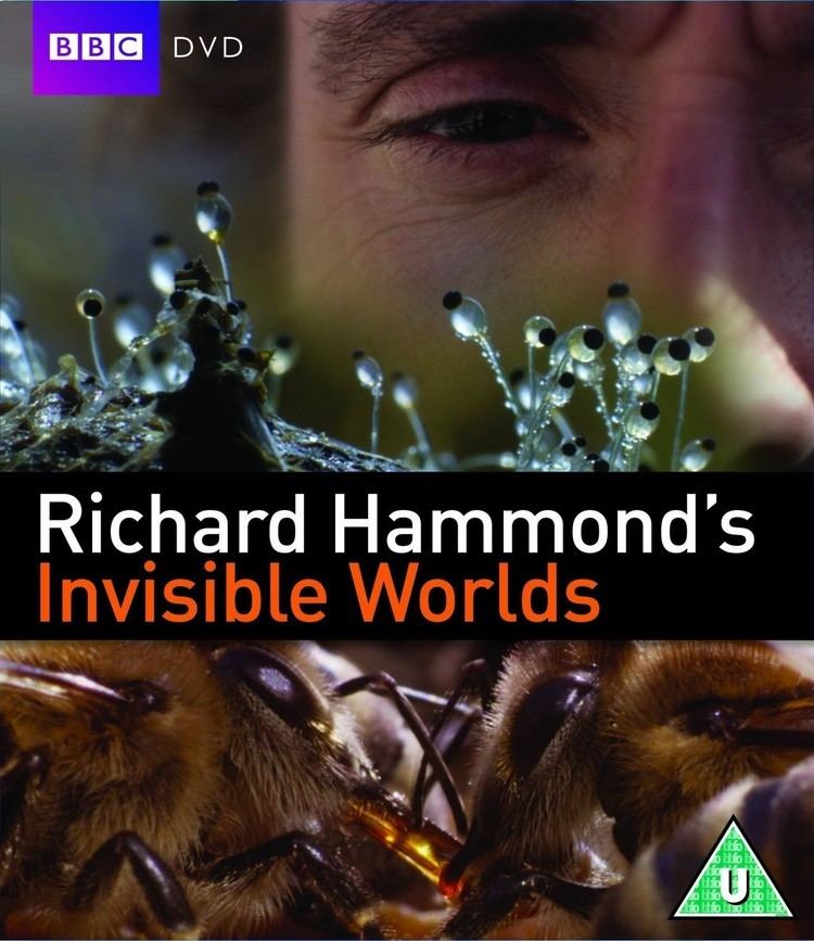 Richard Hammond's Invisible Worlds GeoTorrentscom Details for torrent quot BBC Richard Hammond39s