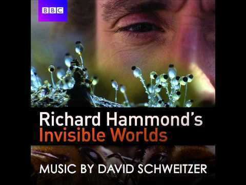 Richard Hammond's Invisible Worlds Richard Hammond39s Invisible Worlds Soundtrack Shockwave YouTube