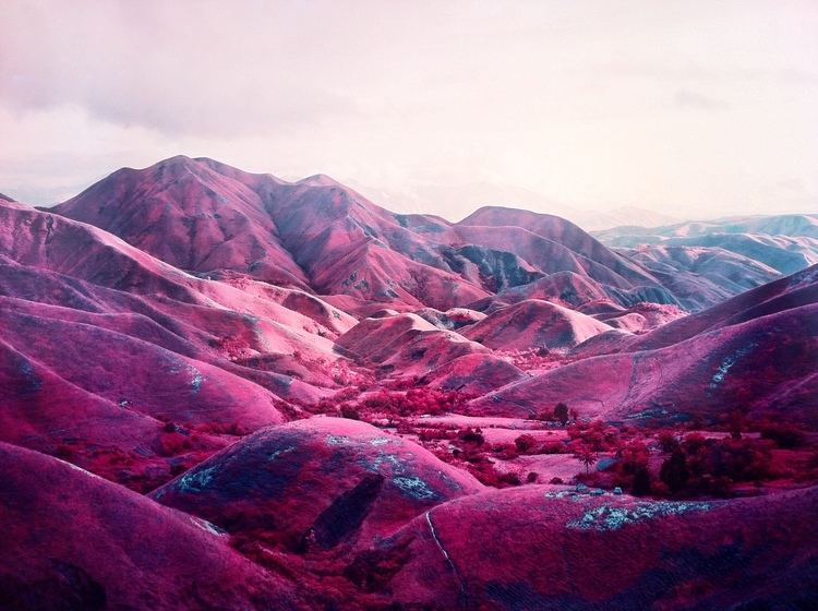 Richard Mosse Pink Is the Colour of War Photographer Richard Mosse