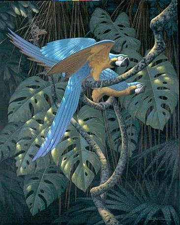 Richard Sloan (artist) Richard Sloan 19352007 Rainforest Art