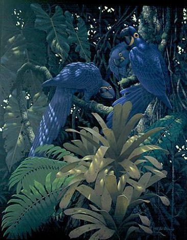 Richard Sloan (artist) Hyacinth Macaws Painting Art by Richard Sloan 19352007
