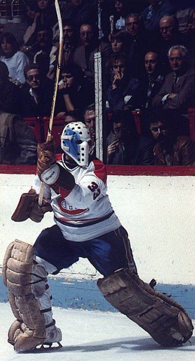 Richard Sévigny Montral Canadiens goaltending history Richard Svigny