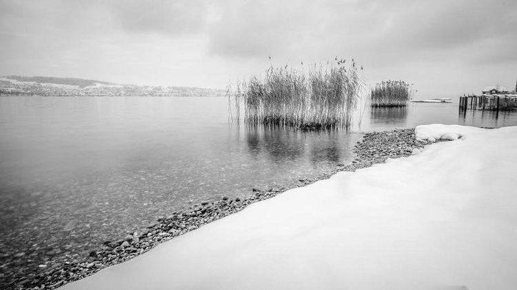 Richterswil Beautiful Landscapes of Richterswil