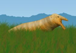 Riebeeckosaurus httpsuploadwikimediaorgwikipediacommonsthu