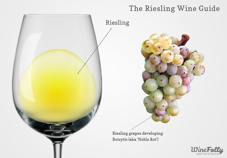 Riesling The Essential Guide to Riesling Wine Wine Folly