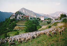 Rigaud, Alpes-Maritimes httpsuploadwikimediaorgwikipediacommonsthu