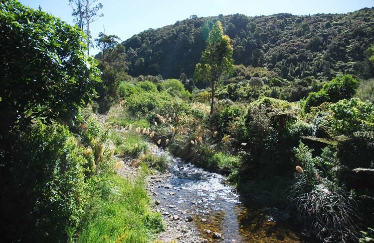 Rimutaka Forest Park Catchpool and Orongorongo Valleys Rimutaka Forest Park Wellington