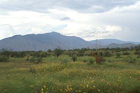 Rincon Mountains httpsuploadwikimediaorgwikipediaenthumbd