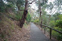 Ringwood–Belgrave Rail Trail httpsuploadwikimediaorgwikipediacommonsthu