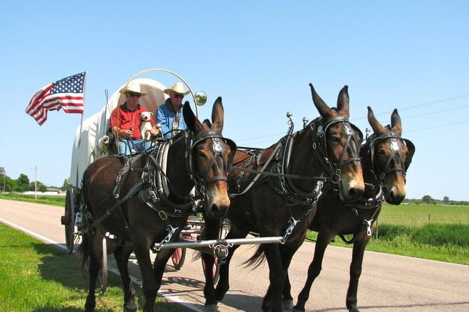 Rinker Buck Author Rinker Buck39s Journey on the Oregon Trail WSJ