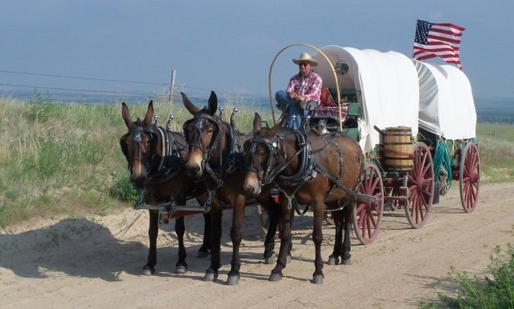 Rinker Buck The Maharajah of Mules An Interview with Rinker Buck George