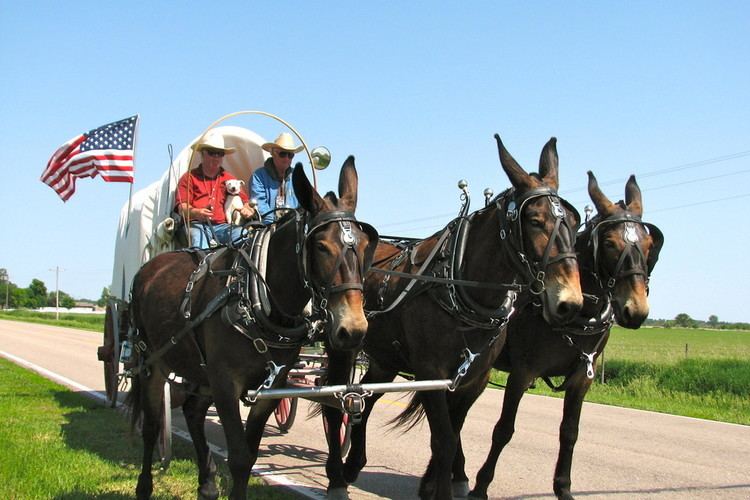 Rinker Buck 10715 Book Review The Oregon Trail A New American Journey by