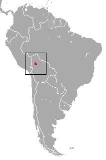 Rio Beni titi httpsuploadwikimediaorgwikipediacommons66