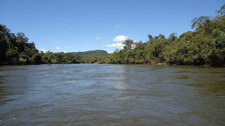 Rio Cautário Federal Extractive Reserve