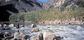 Rio Grande Wild and Scenic River httpsuploadwikimediaorgwikipediacommonsthu