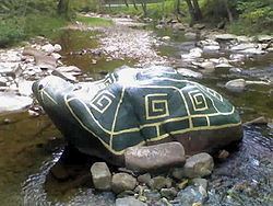 Rio Turtle httpsuploadwikimediaorgwikipediaenthumbf