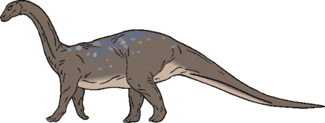 Riojasaurus Riojasaurus Dinosaur Facts information about the dinosaur riojasaurus