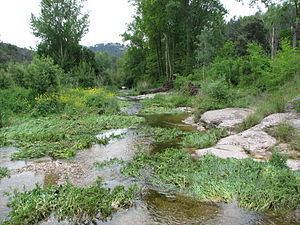Ripoll (river) httpsuploadwikimediaorgwikipediacommonsthu