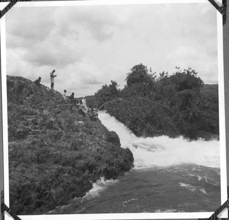 Ripon Falls httpsuploadwikimediaorgwikipediacommonsaa