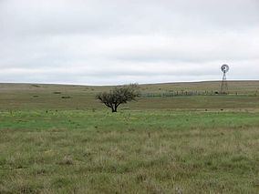 Rita Blanca National Grassland httpsuploadwikimediaorgwikipediacommonsthu