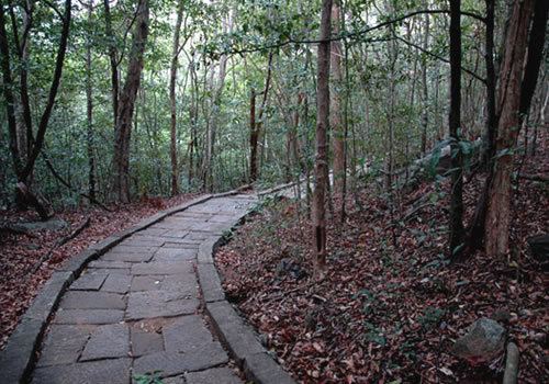 Ritigala Ritigala Sri Lanka Epic Mythology Nature Reserve Forest
