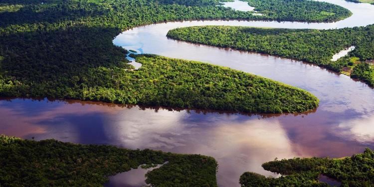 River BBC Earth Why the source of the Amazon river remains a mystery
