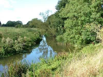River Beult The Kent Wildfowling amp Conservation Association