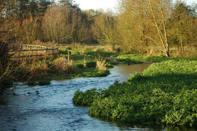 River Chess River Chess Adrian Perkins ccbysa20 Geograph Britain and