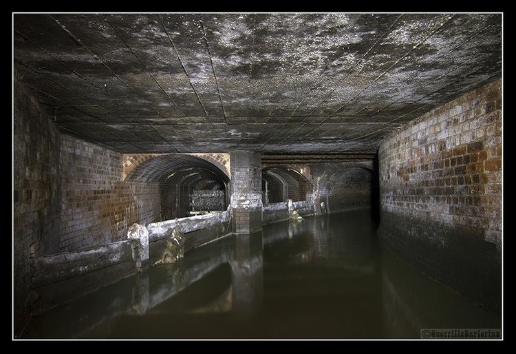 River Effra GES263 Effra Combined Sewer Overflow CSO London