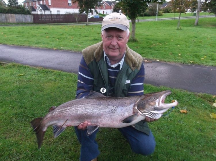 River Fane Irish Angling Update River Fane