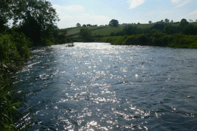 River Fane salmonirelandcomimagessalmonriverseasternfa