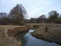 River Hart httpsuploadwikimediaorgwikipediacommonsthu
