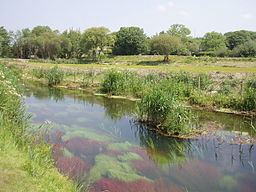 River Hayle httpsuploadwikimediaorgwikipediacommonsthu