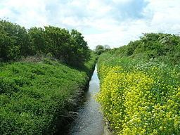 River Hertford httpsuploadwikimediaorgwikipediacommonsthu