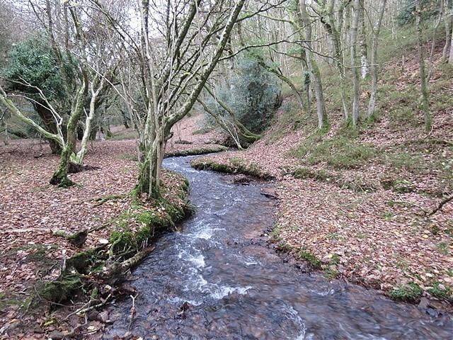 River Holford F Lady39s Combe to Glen Holford Somerset Rivers The Rivers of