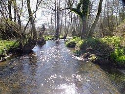 River Hooke httpsuploadwikimediaorgwikipediacommonsthu