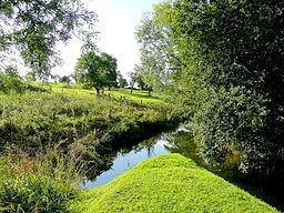 River Isbourne httpsuploadwikimediaorgwikipediacommonsthu