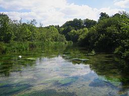 River Itchen, Hampshire httpsuploadwikimediaorgwikipediacommonsthu