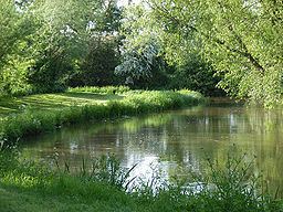 River Loddon httpsuploadwikimediaorgwikipediacommonsthu