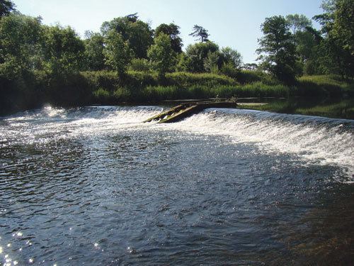 River Maigue Salmon counting commences on Maigue Limerick Post Newspaper