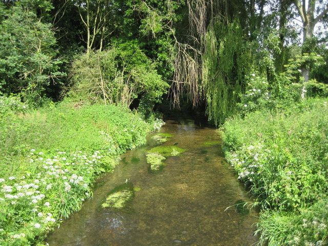 River Misbourne River Misbourne in Denham Country Park Nigel Cox ccbysa20