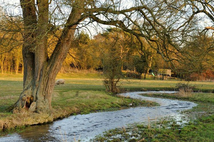 River Misbourne The Misbourne River upstream from Chalfont St Giles