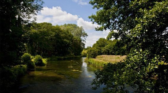 River Nadder wwwfamousfishingcoukassetsimagespageimages