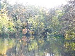 River Ock, Surrey httpsuploadwikimediaorgwikipediacommonsthu