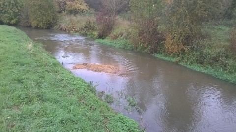 River Ouzel The Parks Trust Milton Keynes joined forces with the Environment
